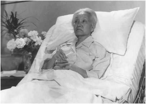 回顾万婴之母林巧稚接生5万婴儿自己却没孩子一辈子不嫁人