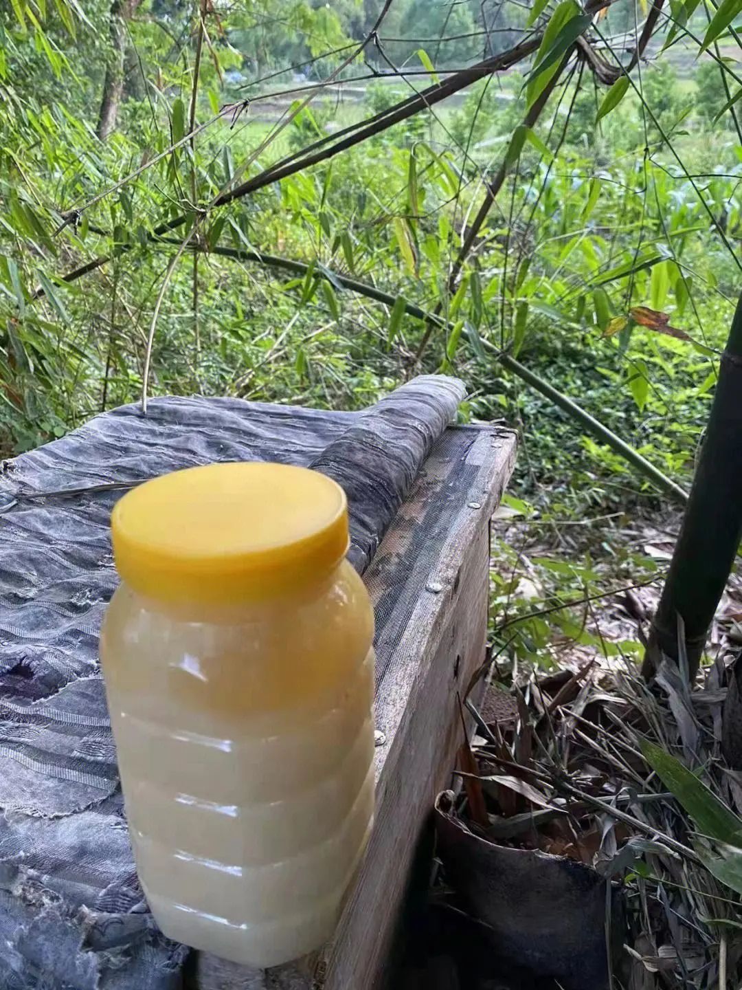 蜂蜜别名 石蜜,石始(《本经》),食蜜(《伤寒论》),蜜(《金匮要略》)