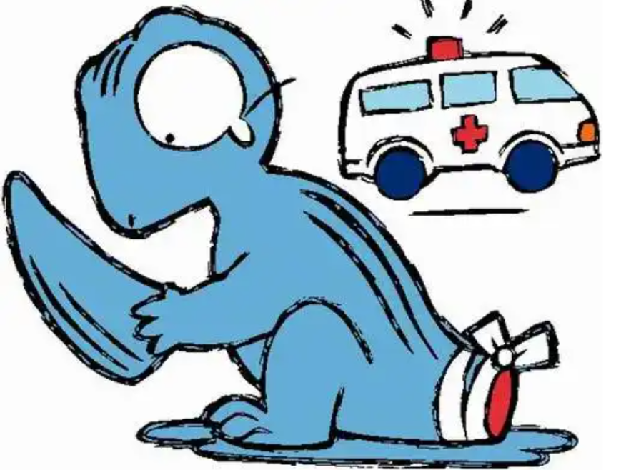 回顾壁虎它有什么可怕之处为什么壁虎是五毒之一