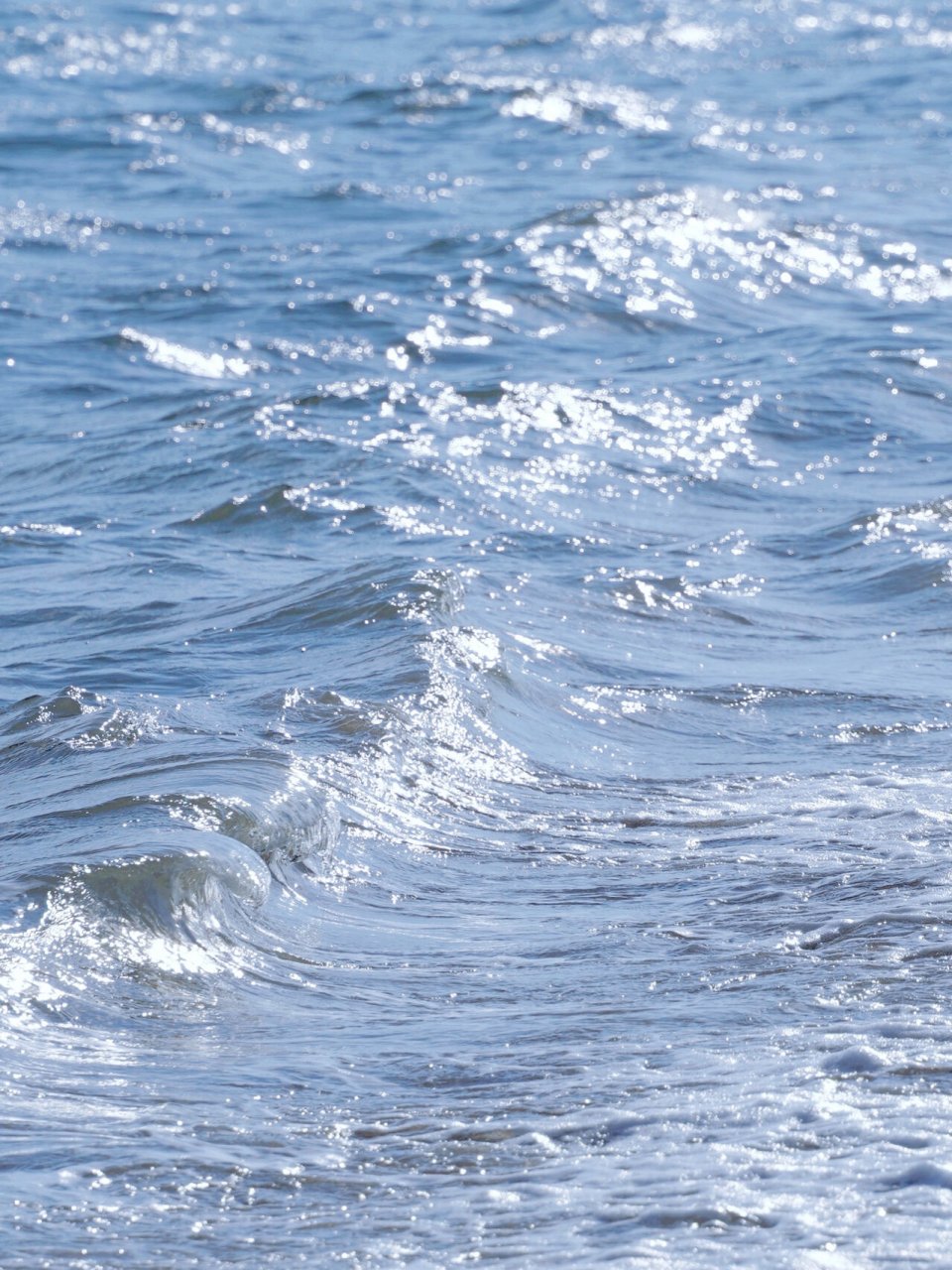 滤镜分享|日系清爽冰蓝色  我给大家分享一款清爽的夏日薄荷蓝色调