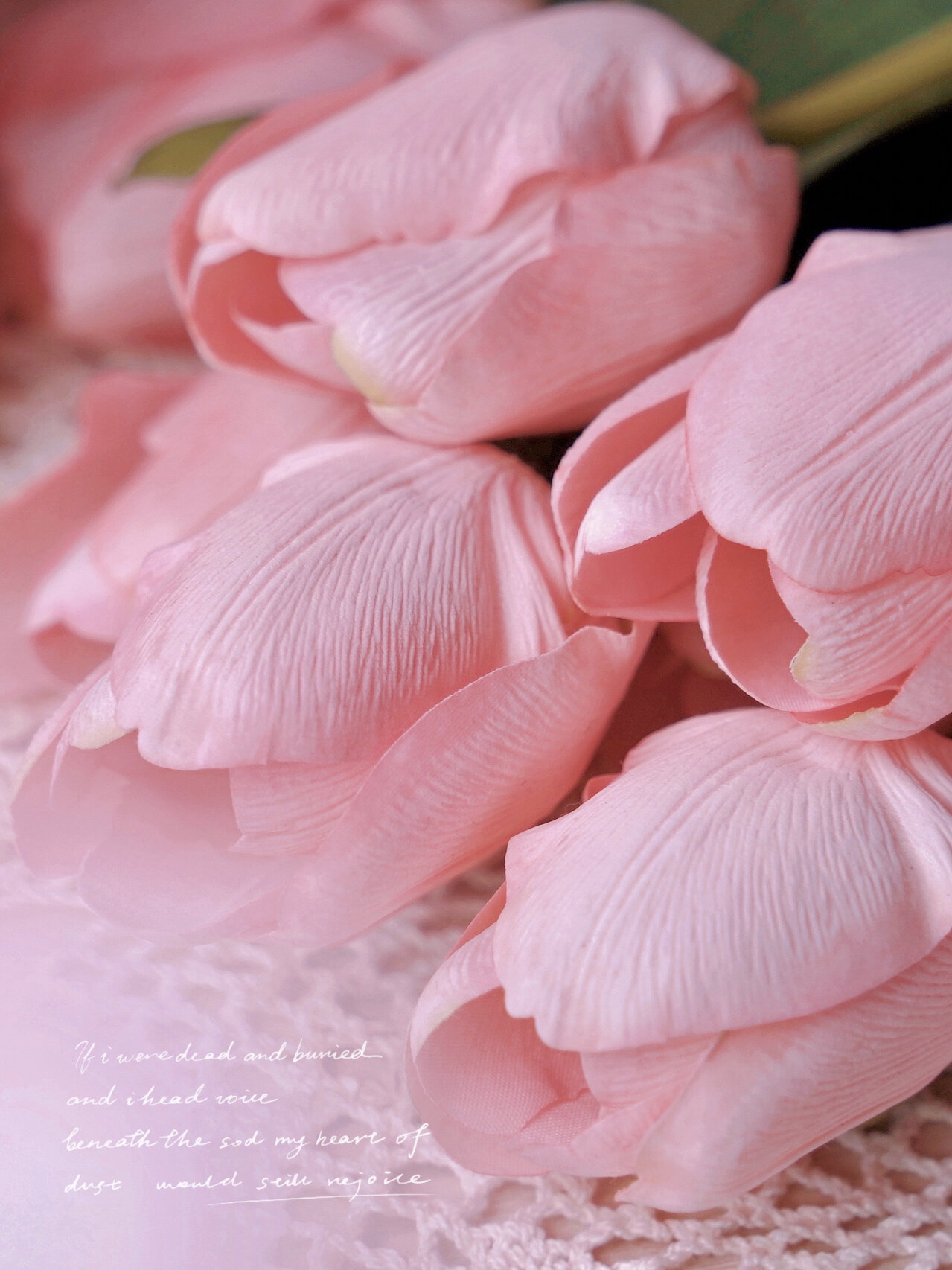 滤镜分享|梦幻奶油少女粉 这个粉色太温柔!