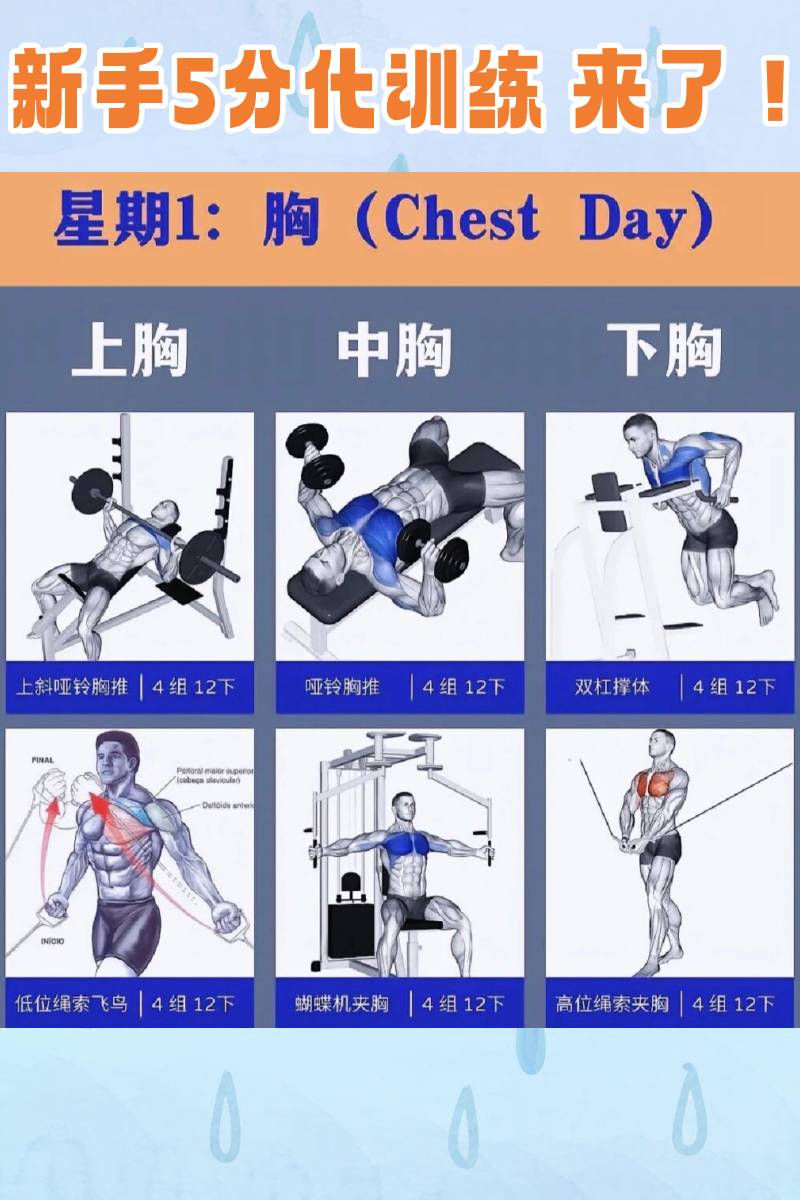 胸肌腹肌训练方法图片