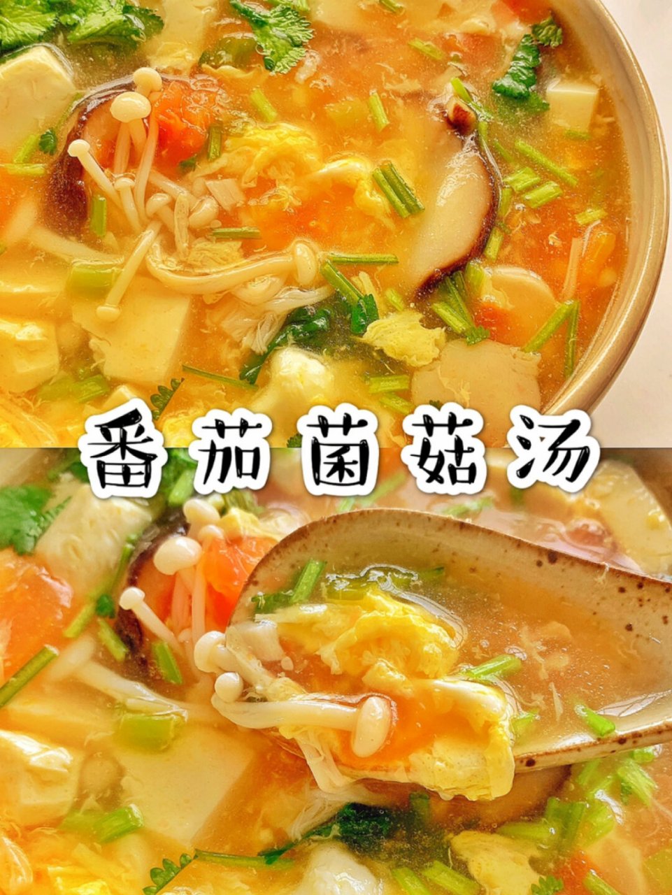 低脂饱腹超鲜美的番茄豆腐菌菇汤滑嫩    就是鲜美!就是细腻!