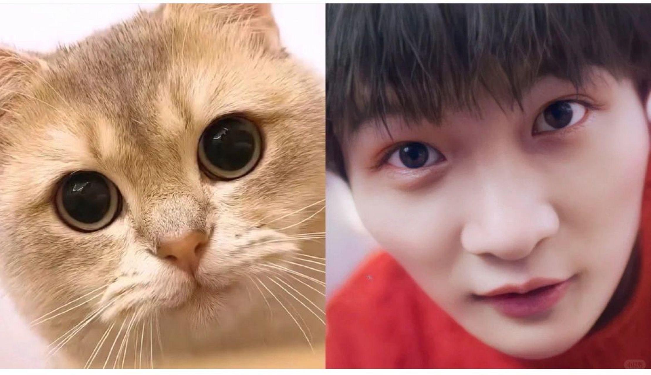 收集到的关于周深的一些照片,真是让人捧腹不已.