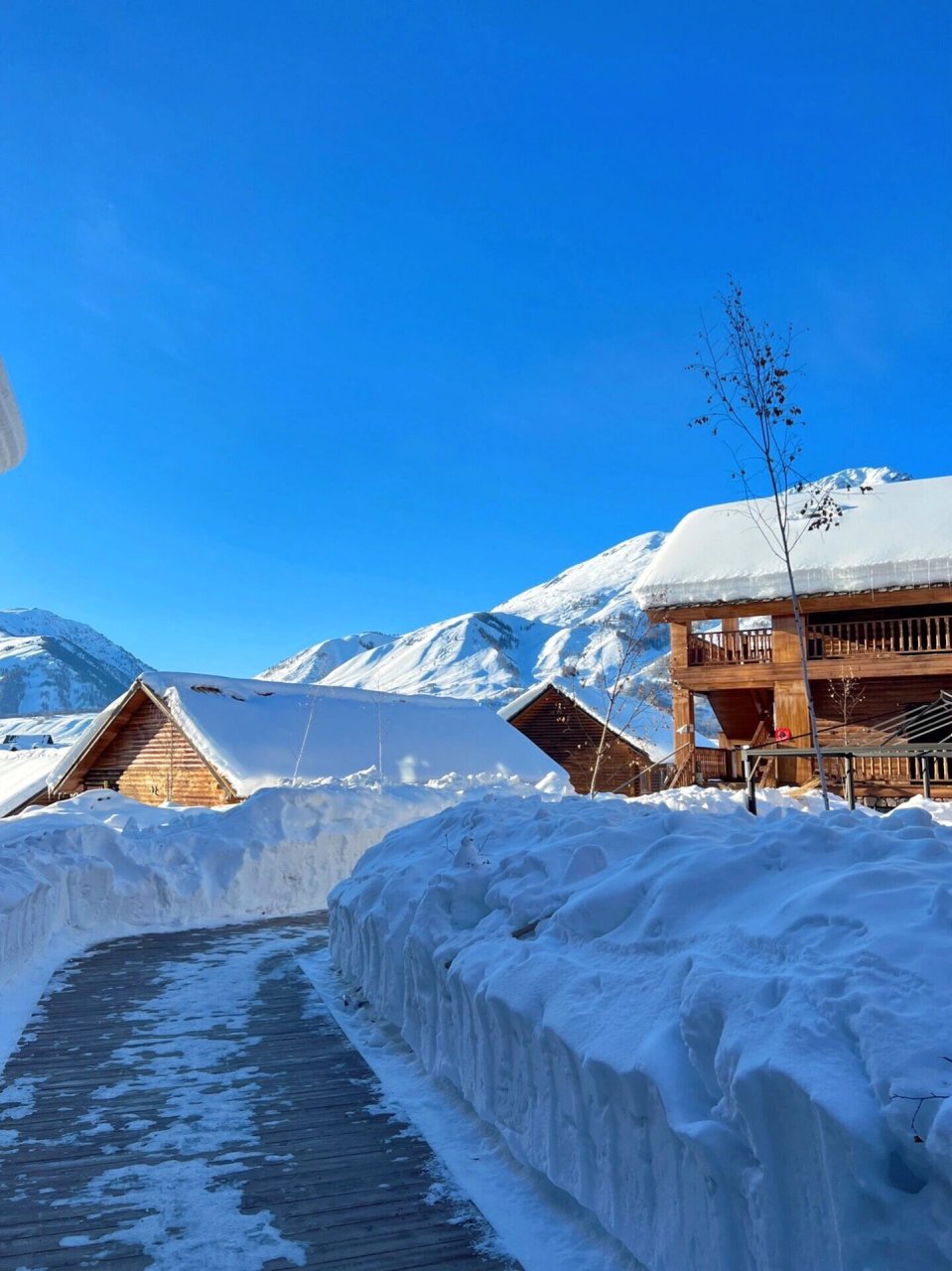 新春去看看阿勒泰禾木吧,景美人少 这里有冬季童话仙境禾木村 雪景