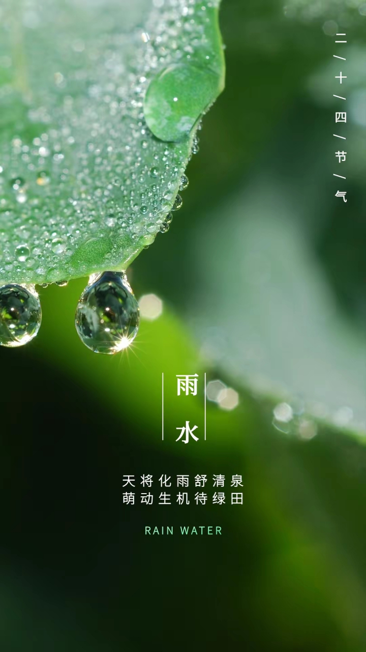 雨水节气植物变化图片