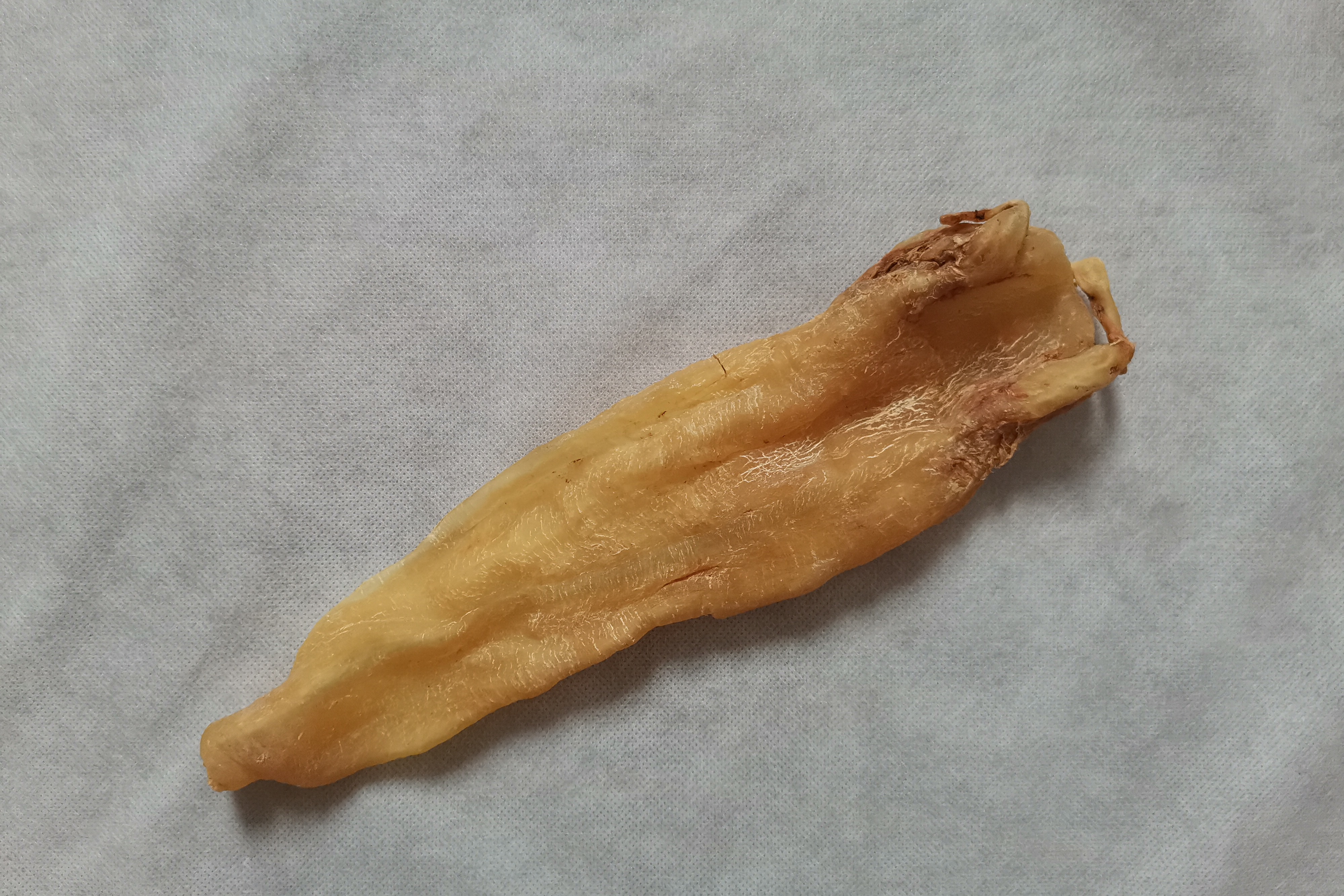 根据个人体质选择适合的鱼胶,注意食用方法和剂量