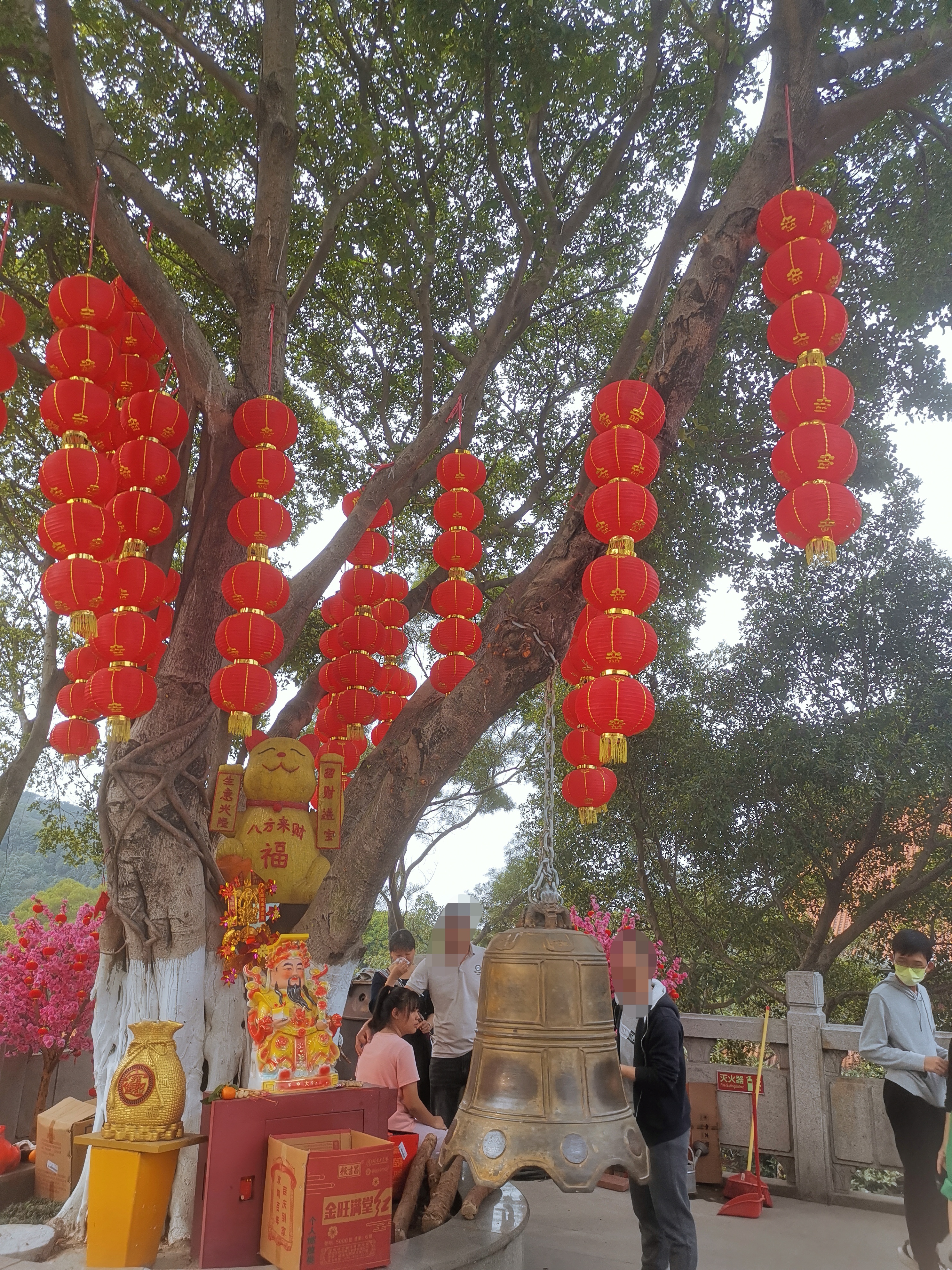 顺德宝林寺门票图片