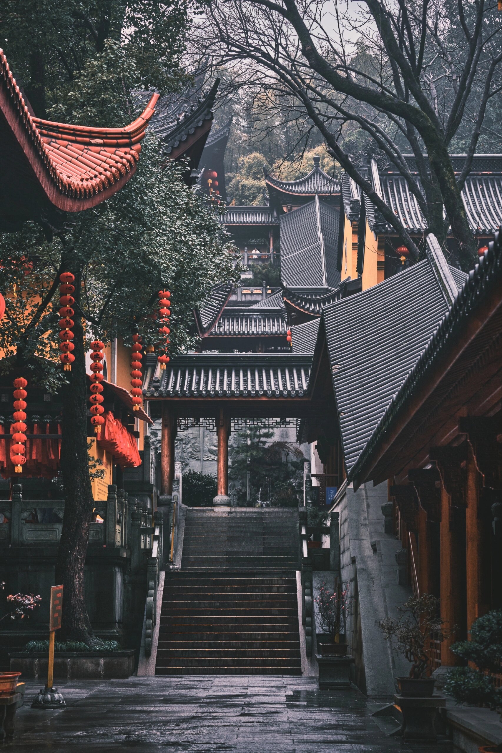 法喜寺太灵了