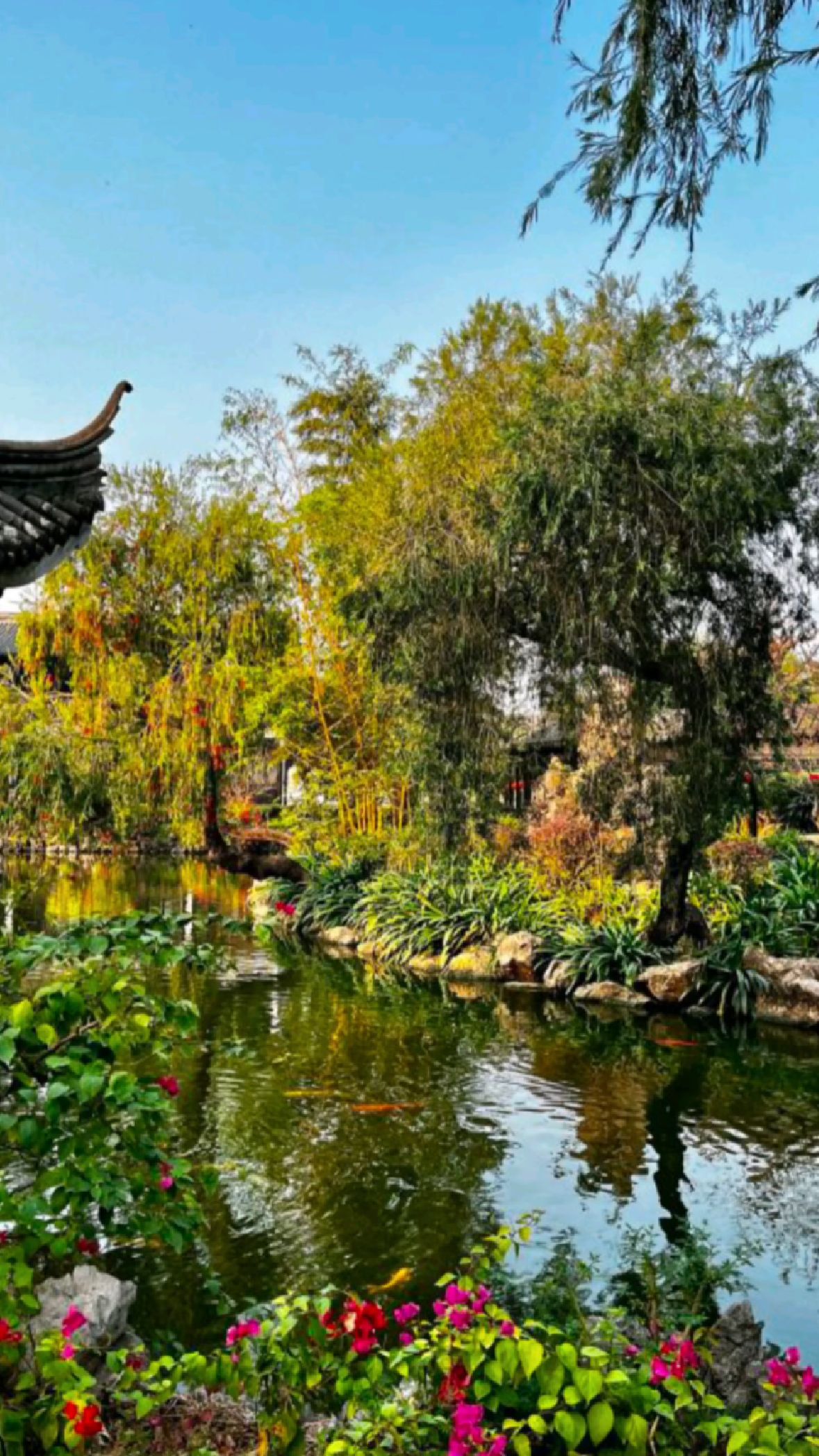 中山詹园美景一览值得记录美好生活的地方手机随手一拍记录自然花草