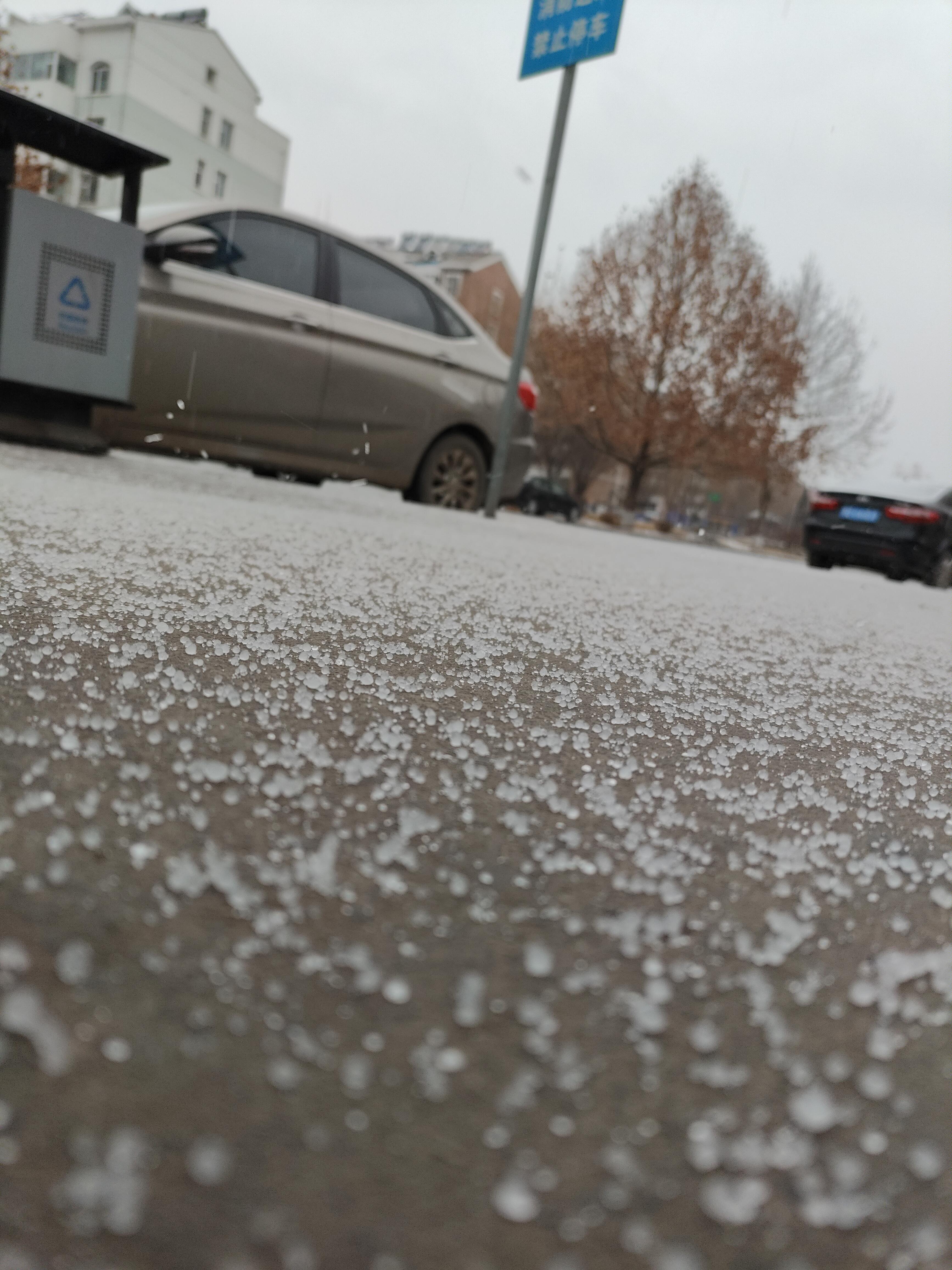 昨儿下了一天小雪,早上起来已经化了些