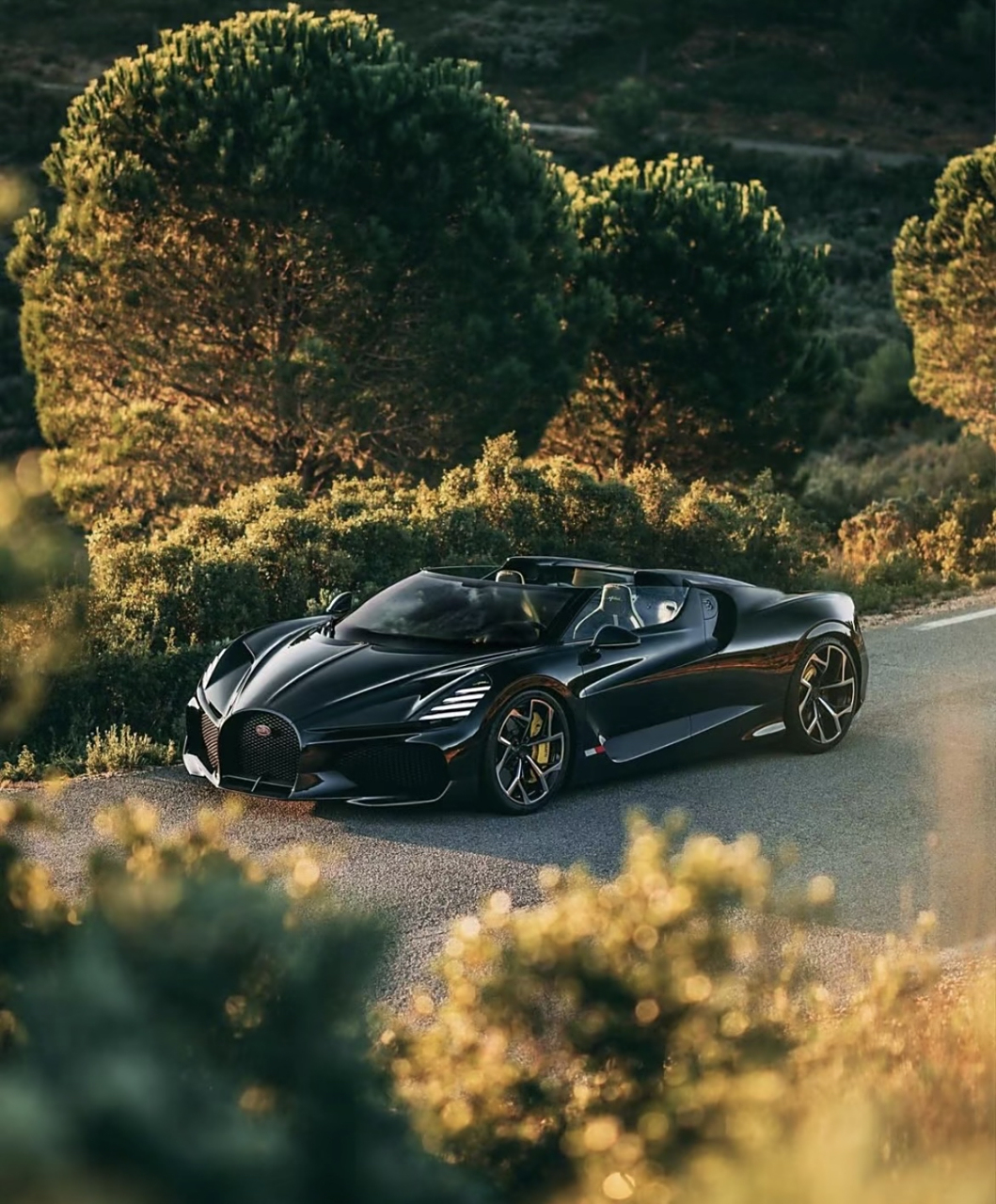 全球限量99台的布加迪"黑武士"[得意]95