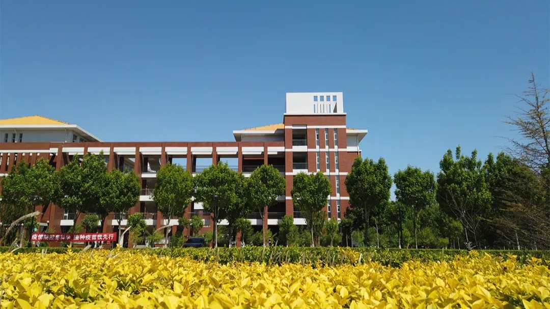 河北水利电力学院是本科吗?是公办还是民办?