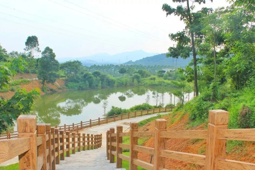 高明有什么好玩的景点推荐