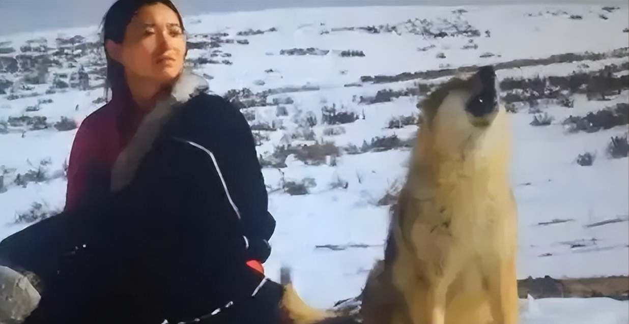 其体内嗜血的野性也远非人所能驯服的,但是一名叫做李微漪的成都女孩