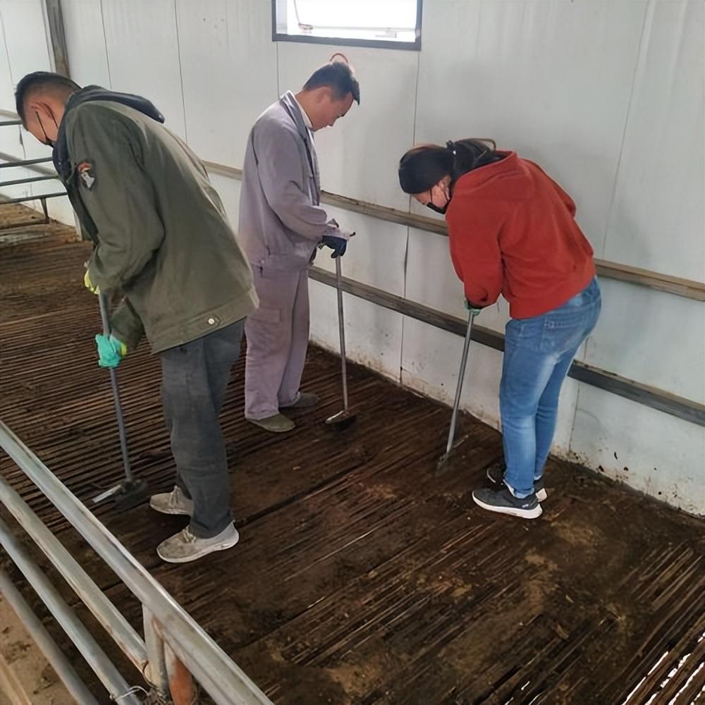 2017年4位牧民和700多只羊离奇消失警方苦寻无果4只小羊立功