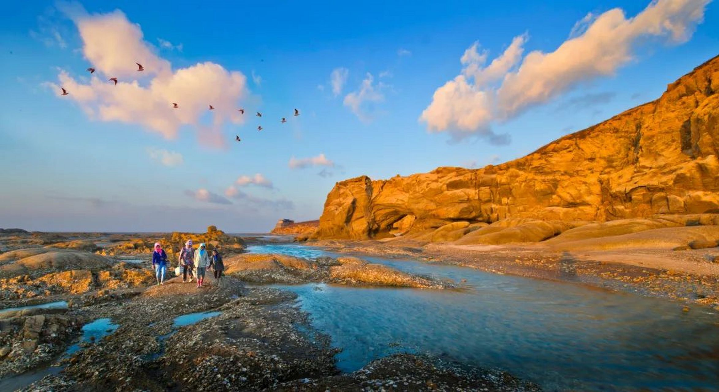 在辽宁省营口市北海经济开发区的西部海滨,一条绵延8公里长的海岸线