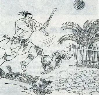 标题男子一觉醒来竟与黑狗互换身体母亲惊人建议令他犹豫不决