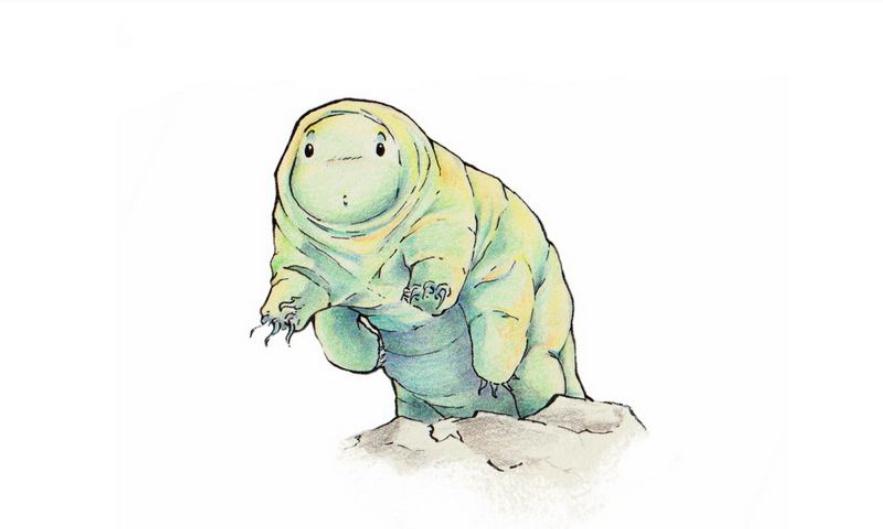 回顾:地球极强生物水熊虫,走出地球也能活,它具备永生能力吗?