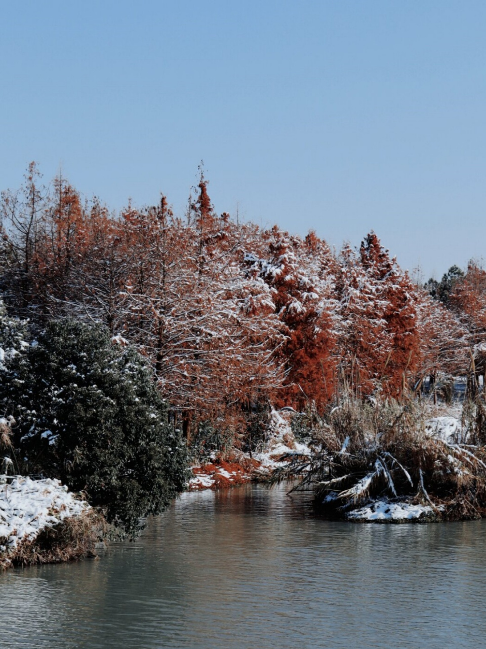 一片银装素裹,仿佛整个城市都被冰雪覆盖,让人