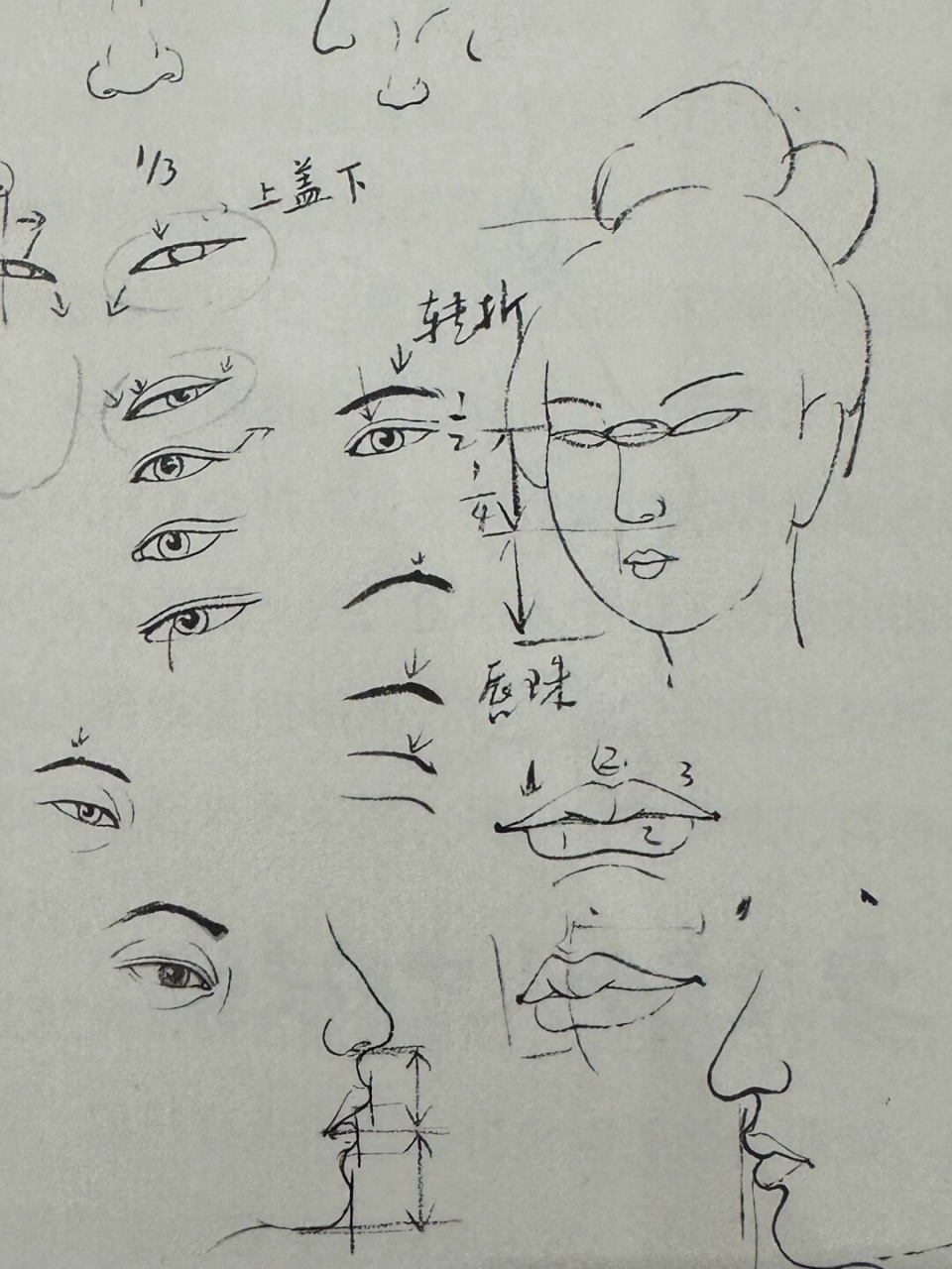 🔥人物脸部画法干货来袭!🎉  🌟想要画出栩栩如生的人物?