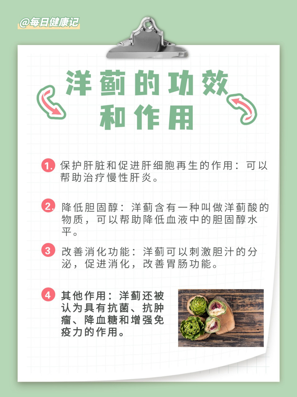 洋蓟的功效和作用 不可多得的保健蔬菜  大家对洋蓟这种蔬菜了解多少