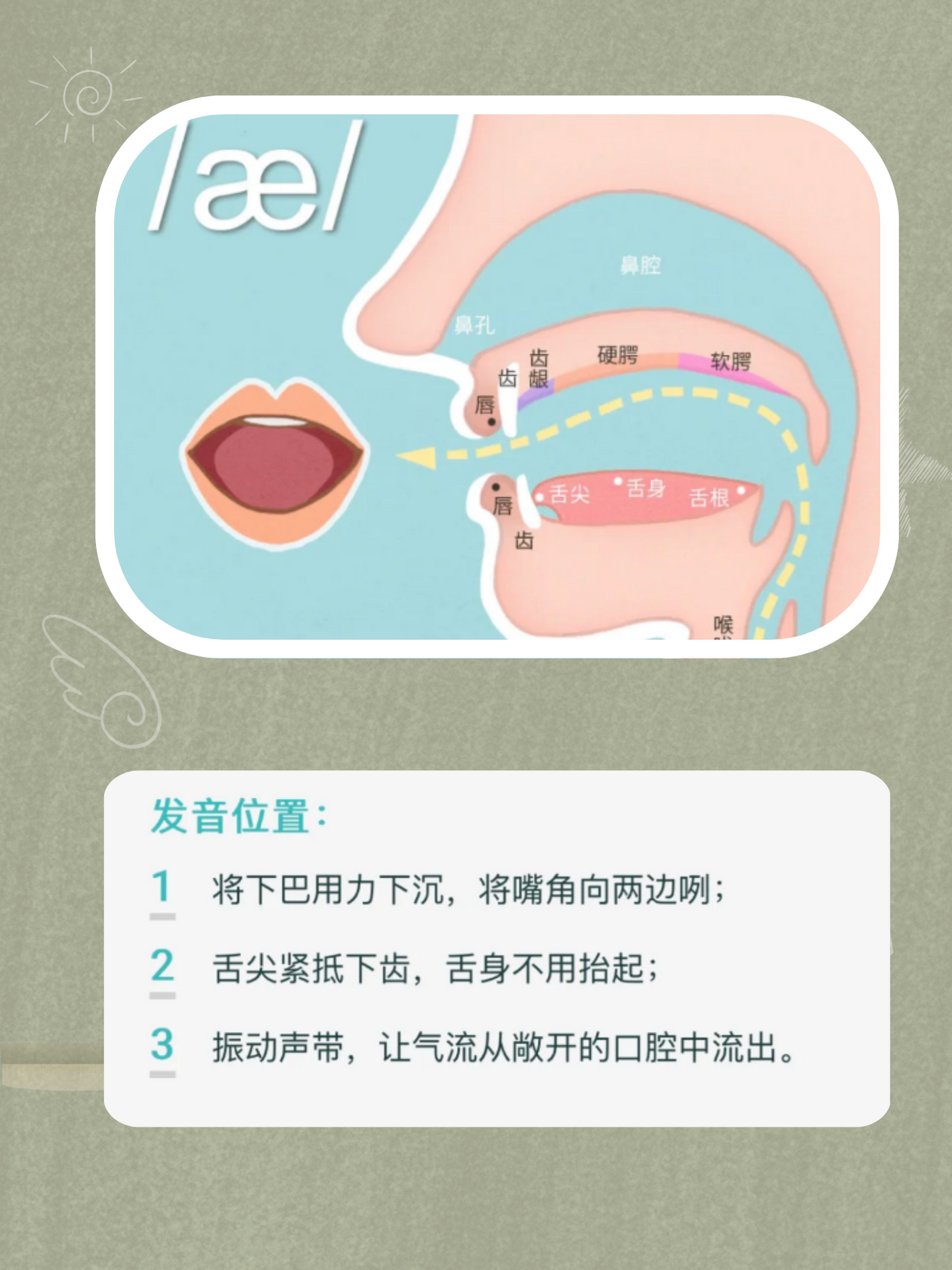 英语音标口型和舌位详解 英语.@小周讲教育的动态