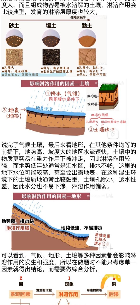 半淋溶土图片