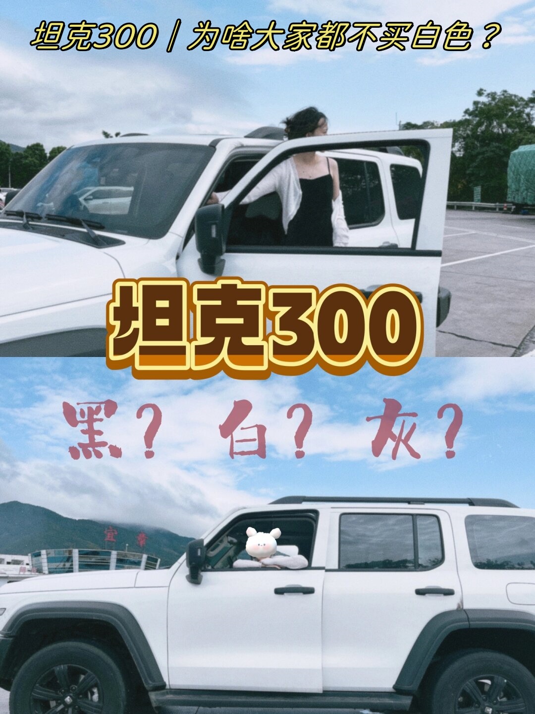 为啥大家都不买白色?