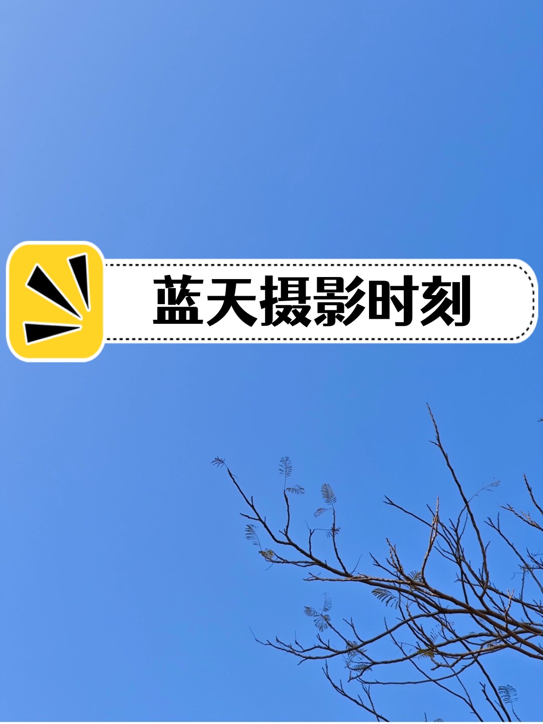 每当我抬头仰望那辽阔的蓝天,心中总涌起一股莫名的