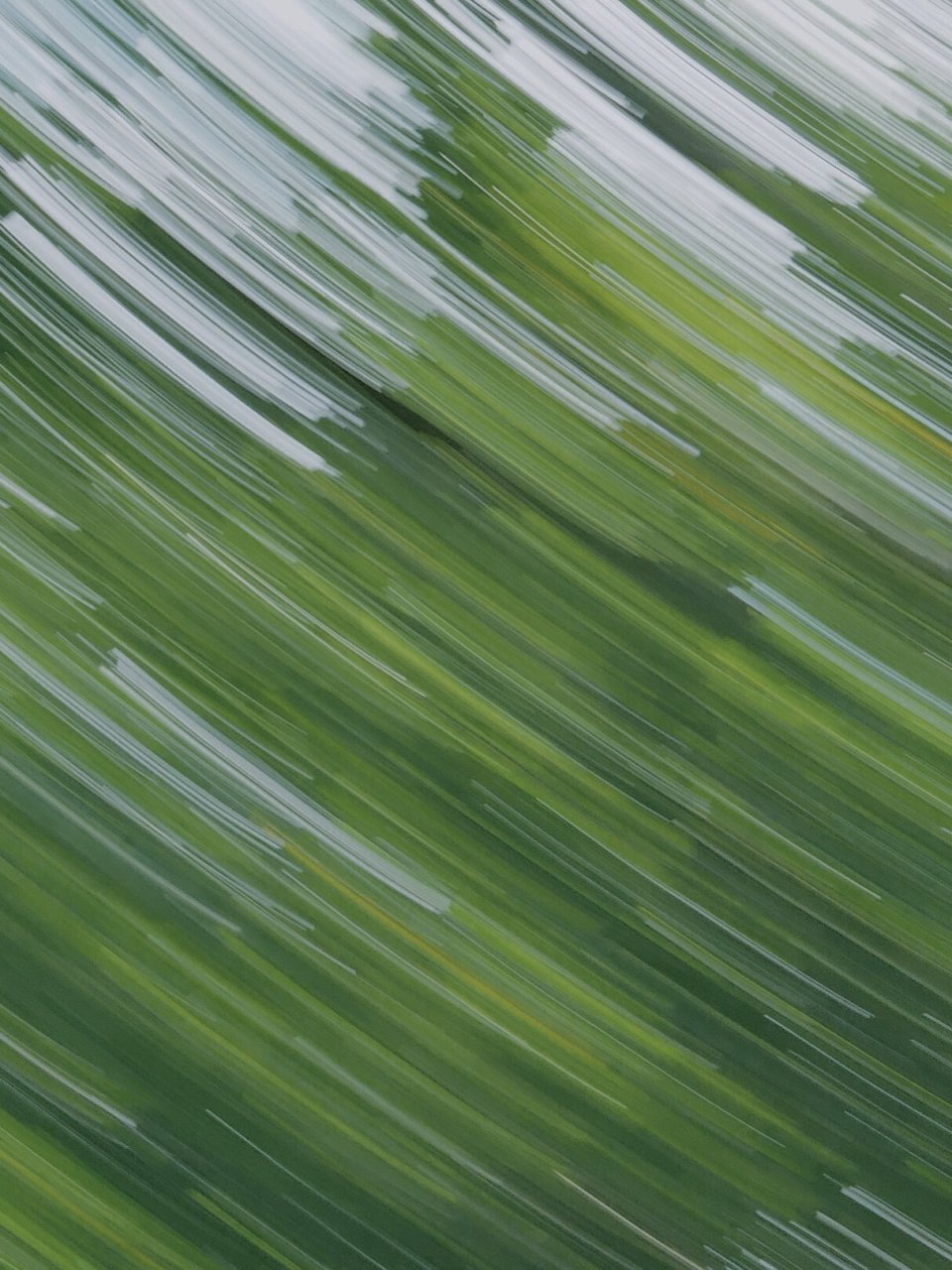 调色|自然静谧暗绿调  我要给你们分享一个超赞的墨绿色调, 它能让你