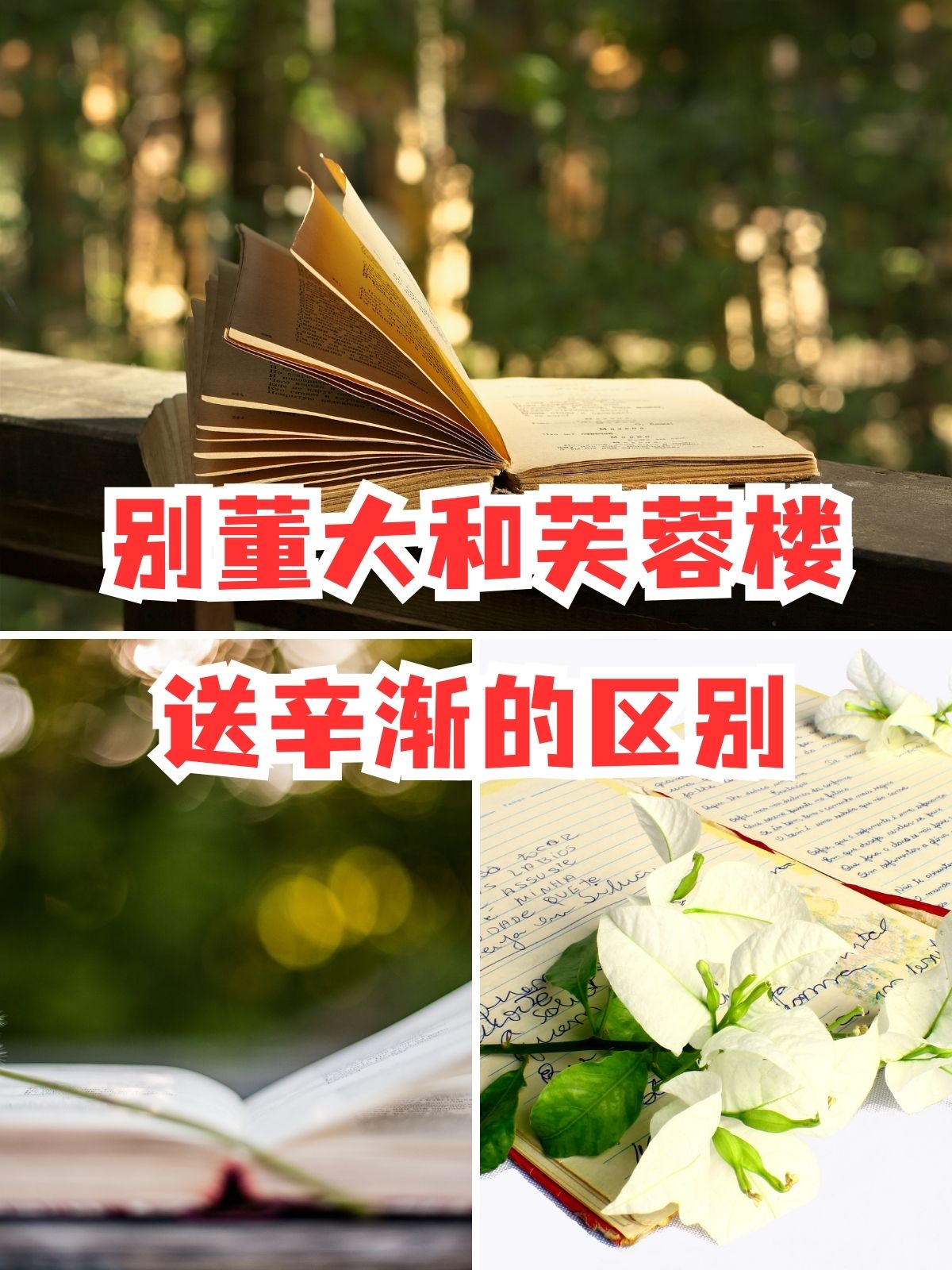 听我细细道来 1 情感深度别董大离别的哀愁如江水般绵延不绝;而芙蓉