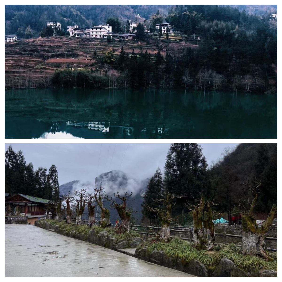 我勇敢地追求内心的热爱,不畏困难,不惧失败