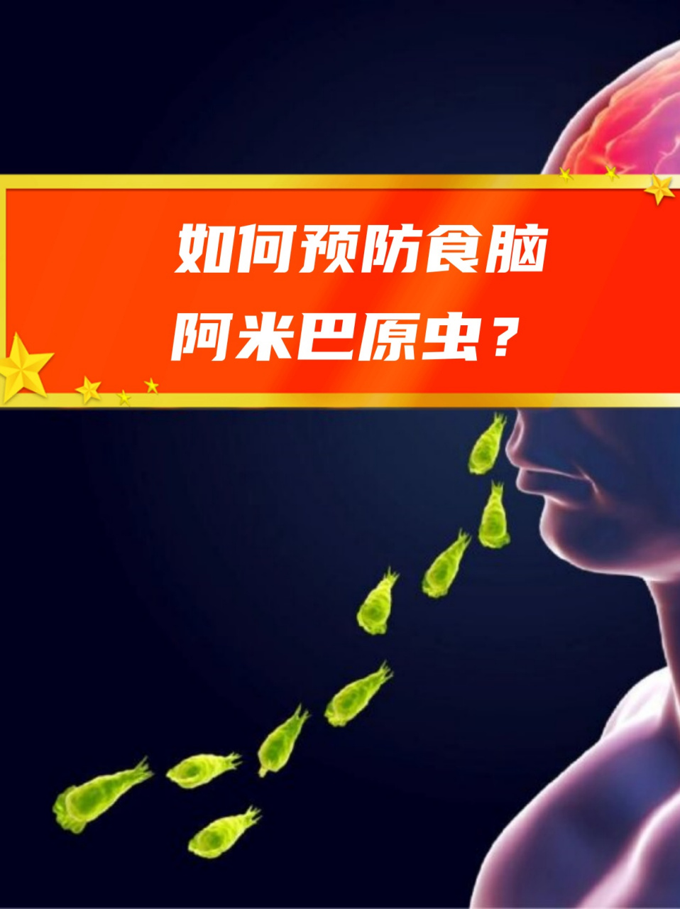 如何预防食脑阿米巴原虫?