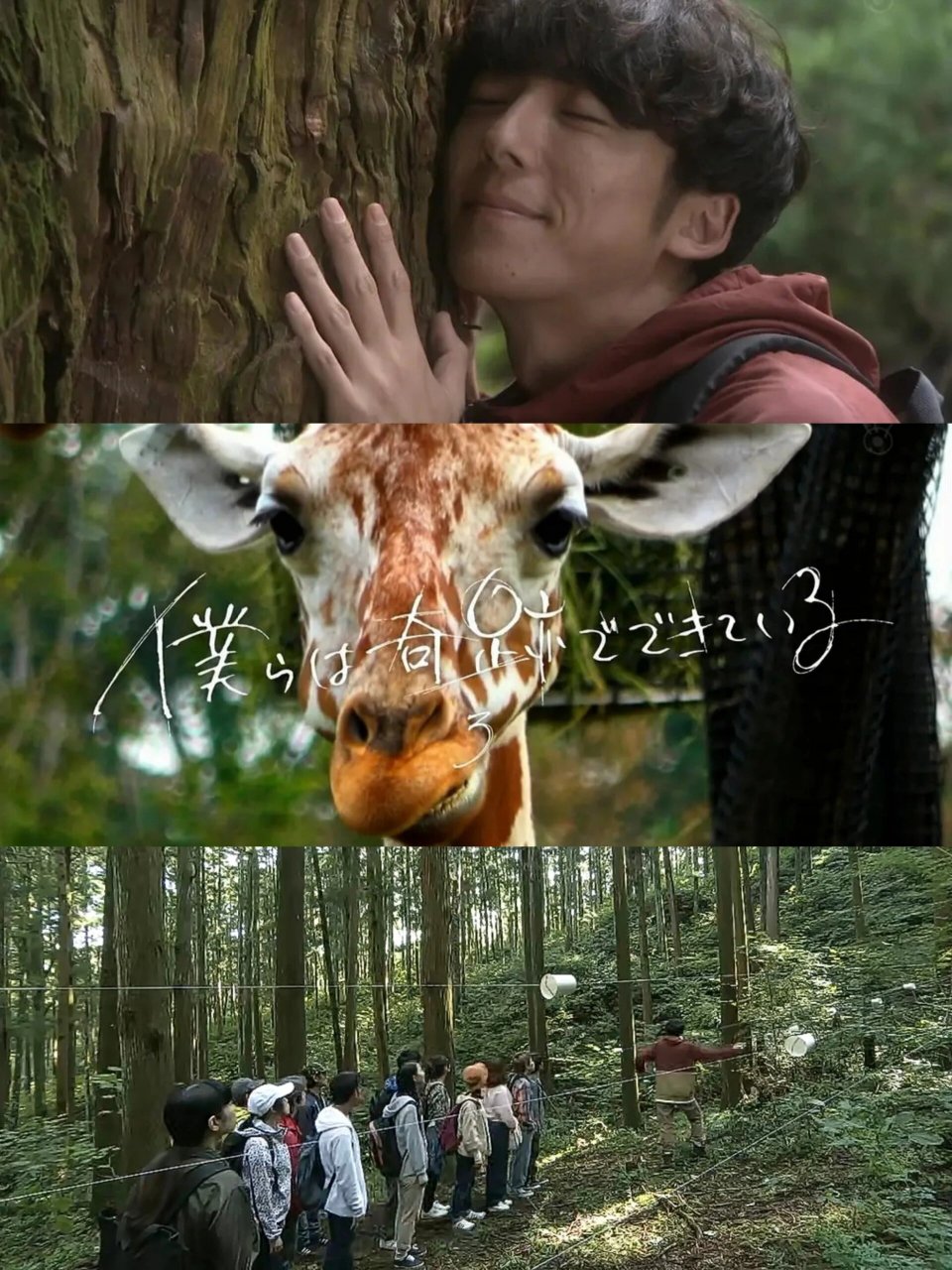 这是我个人非常推荐的一部电影《我们由奇迹构成》