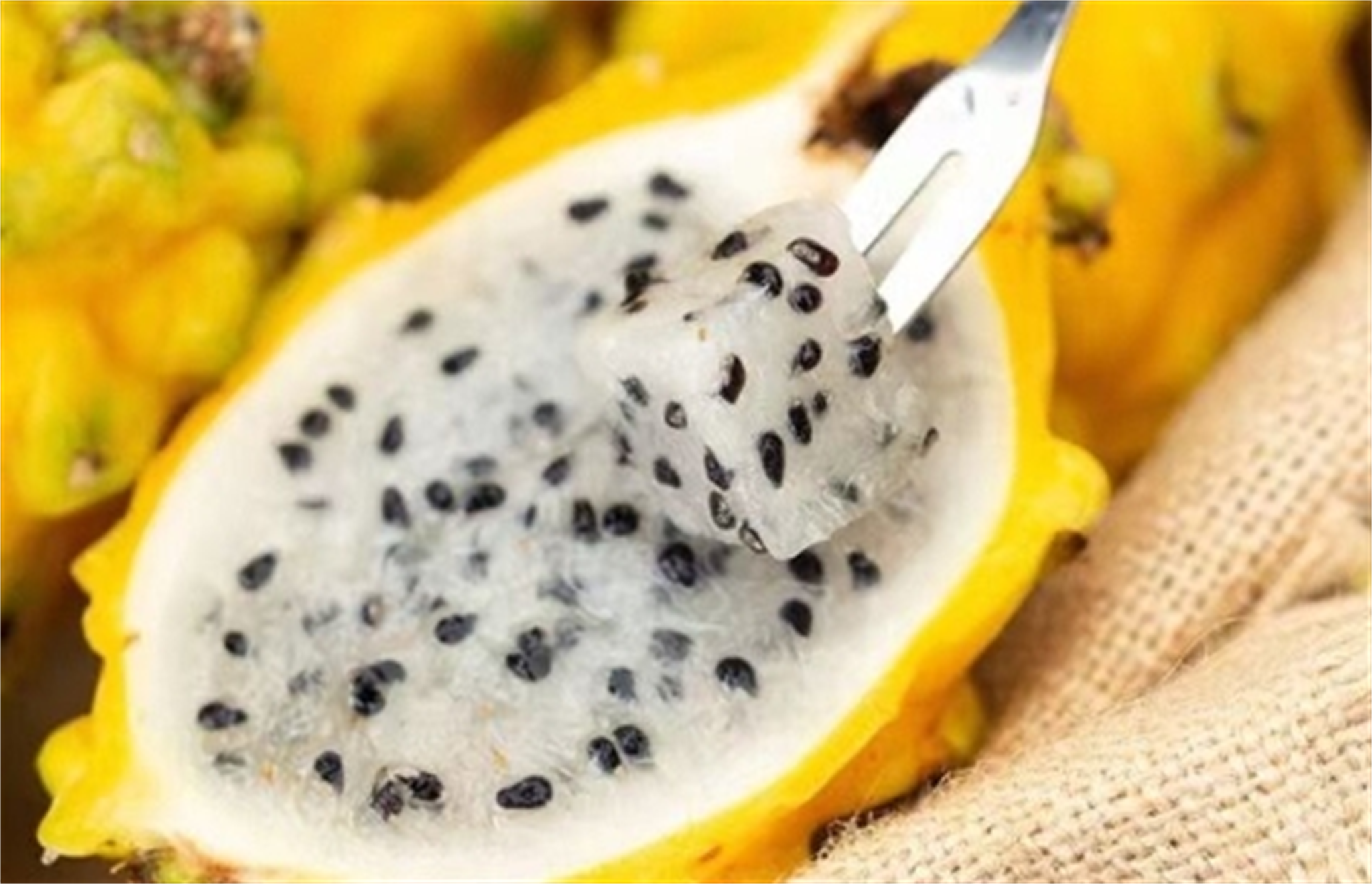 海南燕窝果:鲜甜软滑,汁水丰沛,每一口都是自然的馈赠!