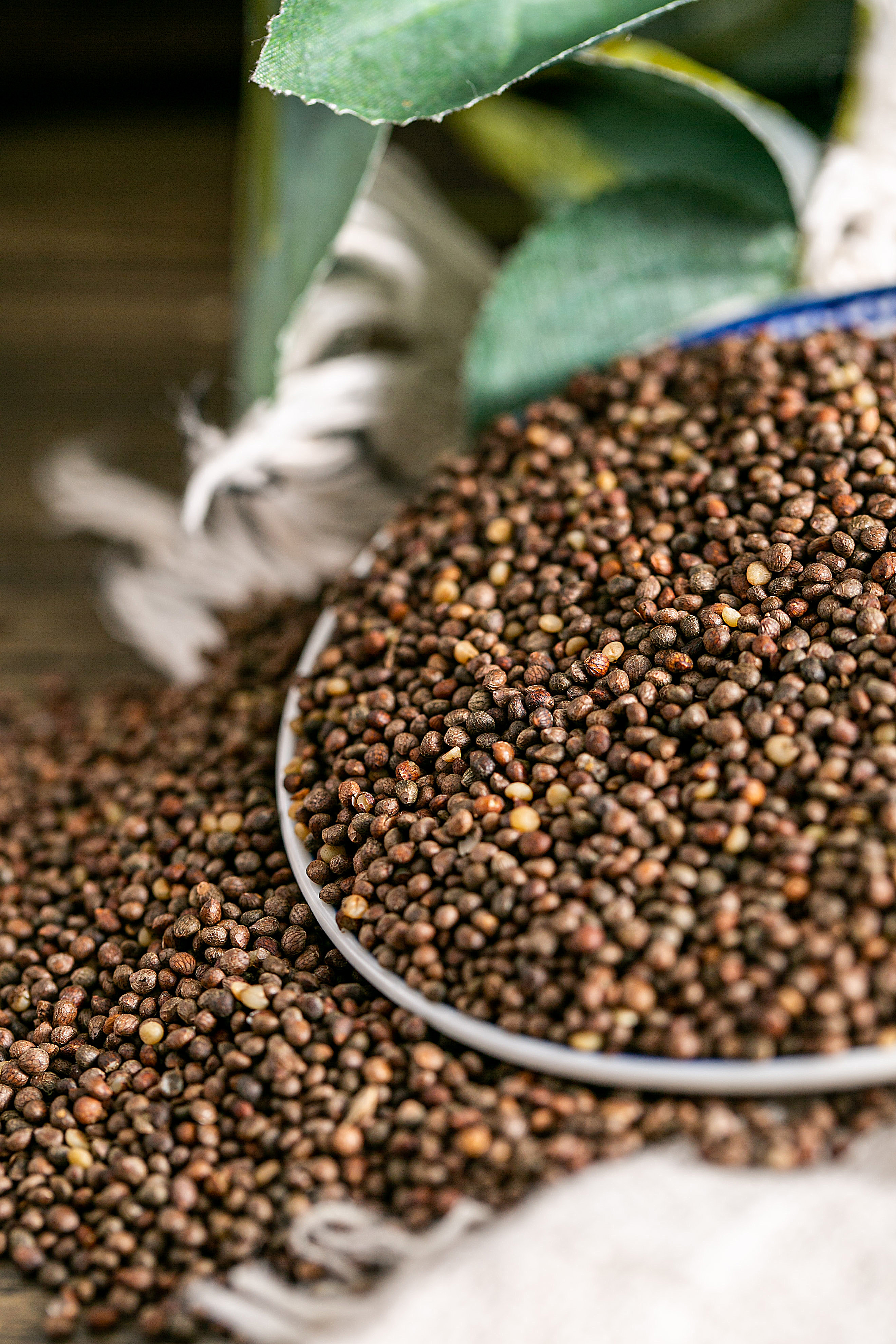 ω-3系脂肪酸及α-亚麻酸的良好来源