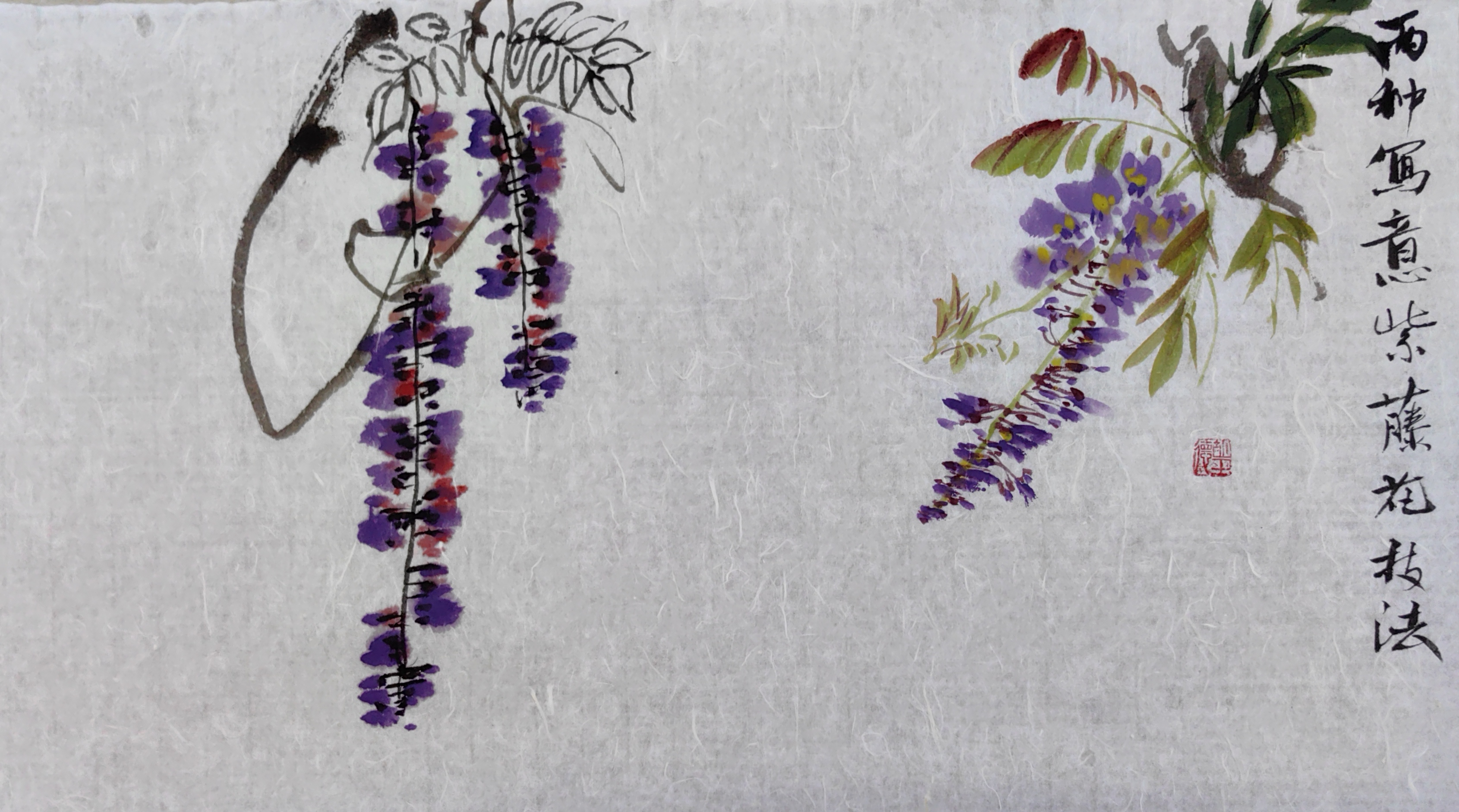 《春》紫藤花国画 紫藤花的花语为执着的等待,深深的思念