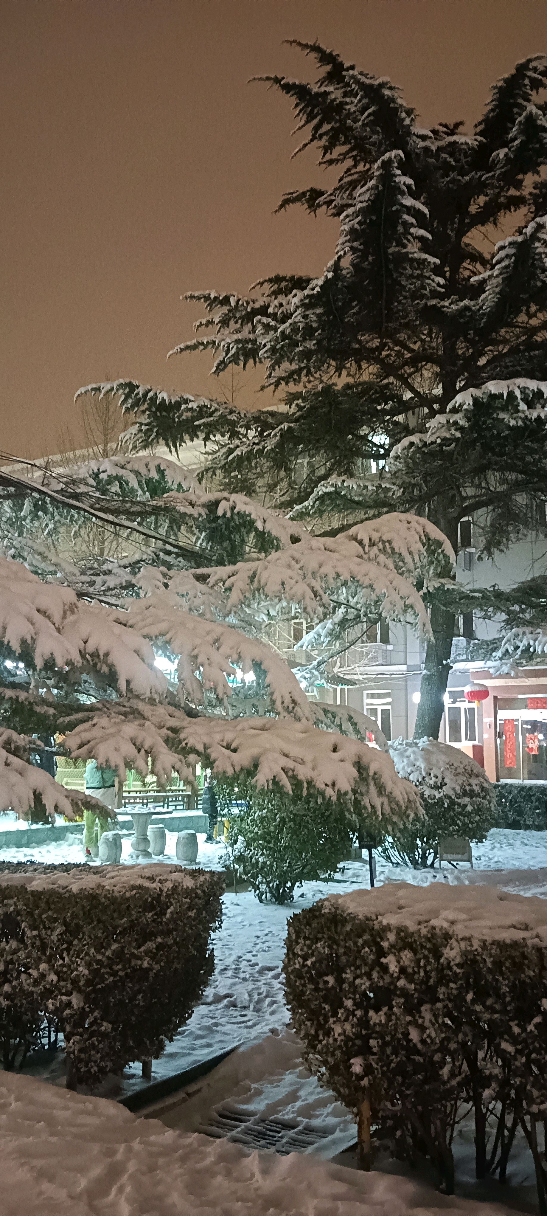 春天第一场雪图片图片