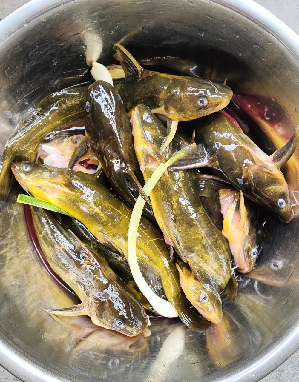 但凡我老婆有半点心眼,我的下场都会很惨,因为我家