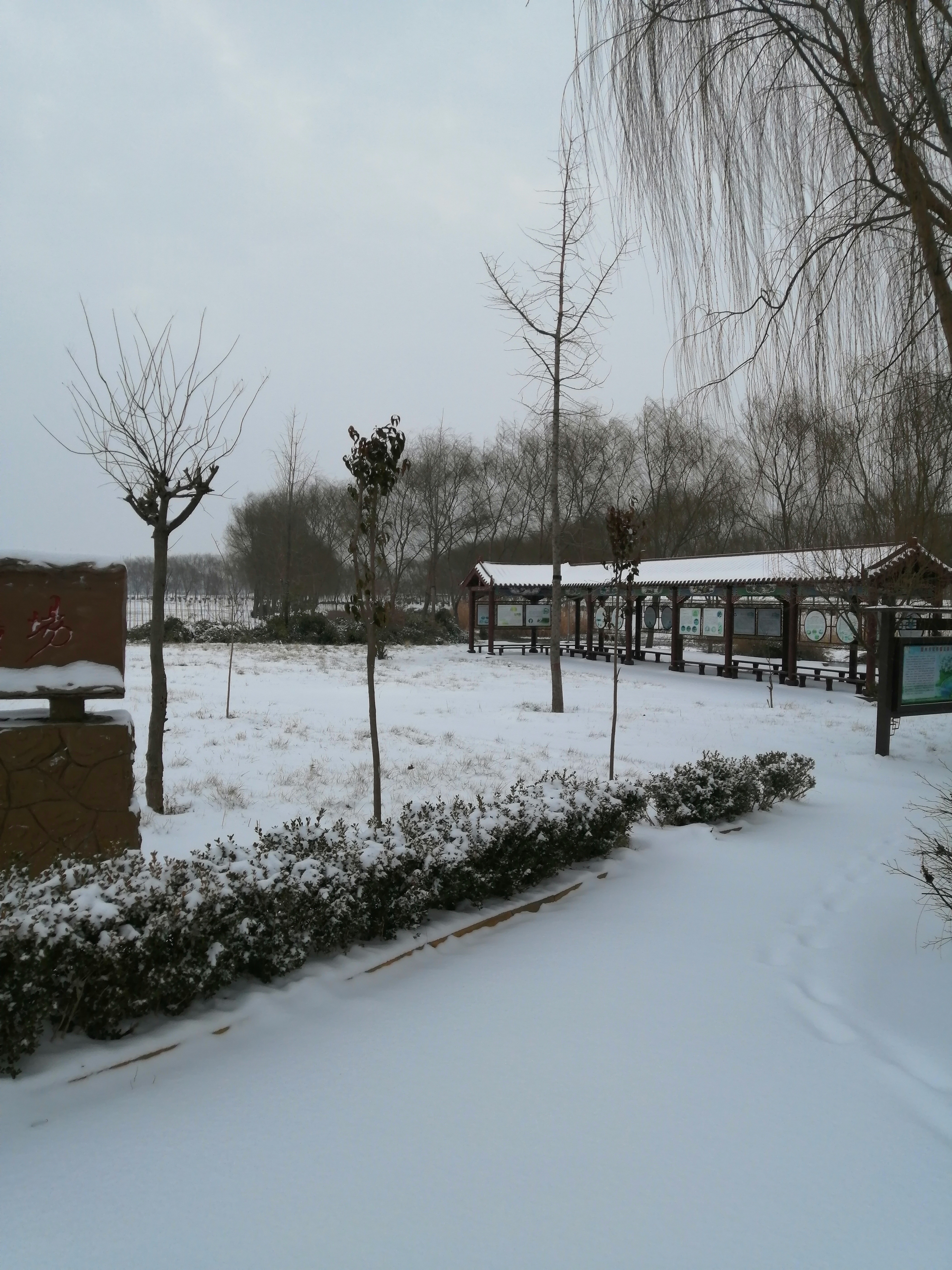 乡村大雪纷飞雪景图片图片