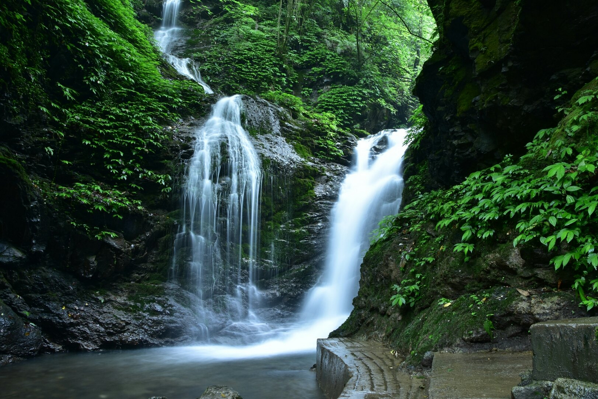 这个风景区以其秀美的山水,丰富的生态和独特的地质地貌而闻名,驶一