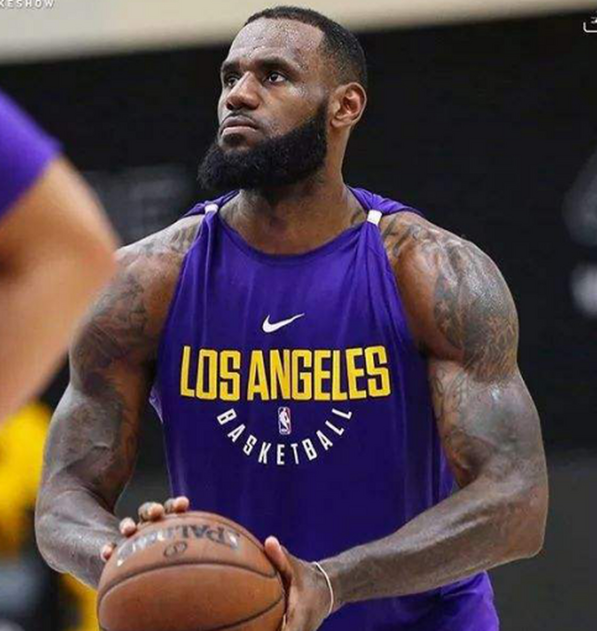 nba巨星们的强壮手臂:詹姆斯,本华莱士等5位肌肉狂人的传奇之旅!