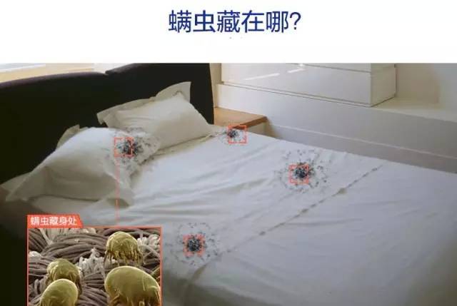 床单多久清洗一次才好?很多人都做错了,难怪皮肤总是痒!