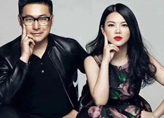 李湘王岳伦离婚后首次合开公司!李湘持股99%