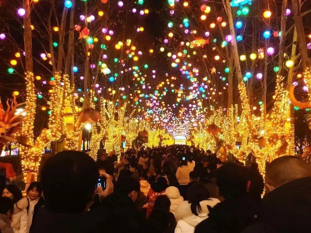 济南青岛出圈淄博威海成黑马好客山东热辣滚烫