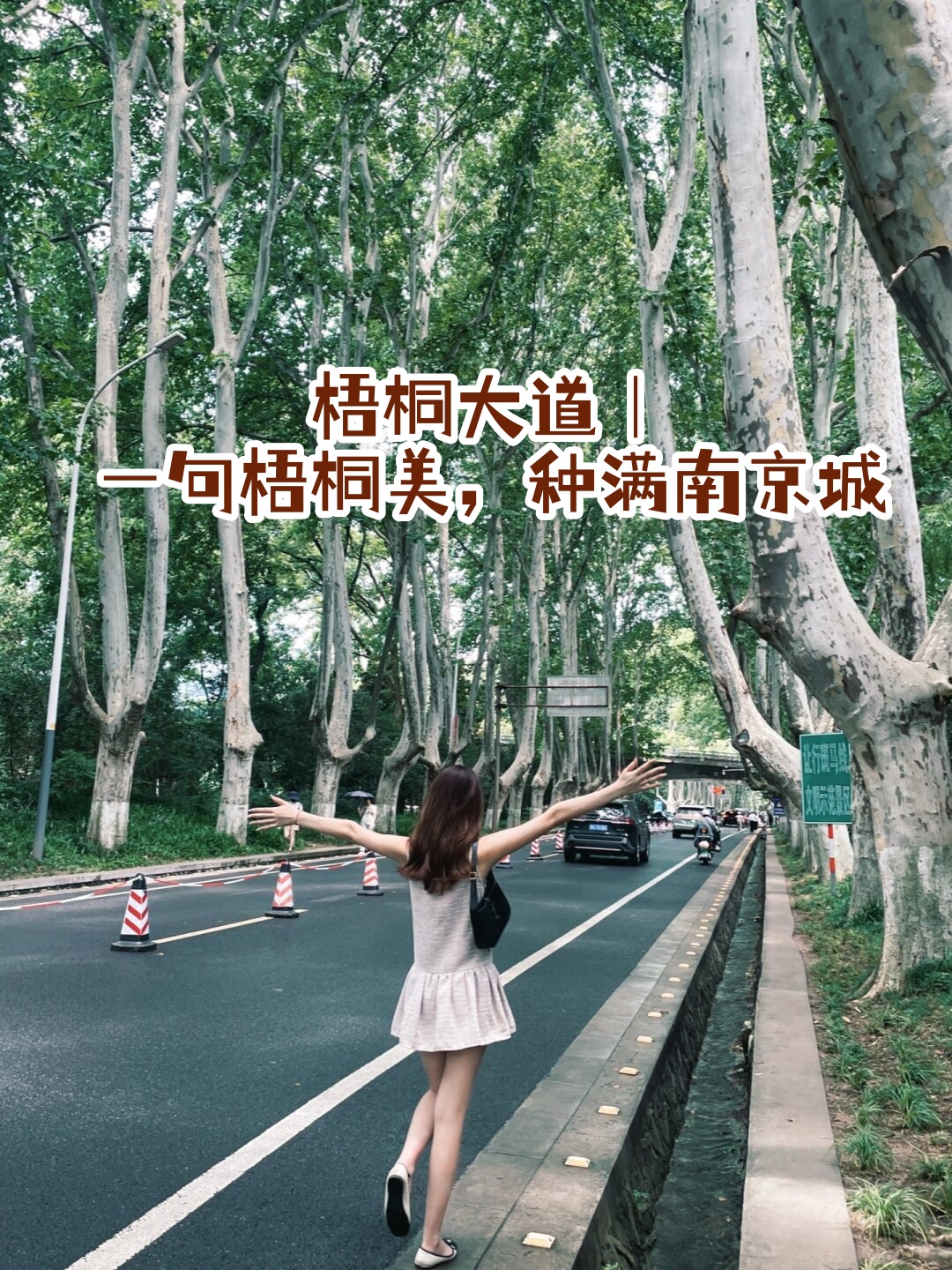 在苜蓿园站(2 号线)下车,沿着去美龄宫的路一直走,一路都是梧桐树