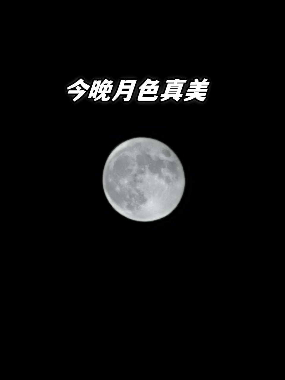 今晚月色真美  93每当夜幕降临,我总是期待着与月亮的那场不期而遇.