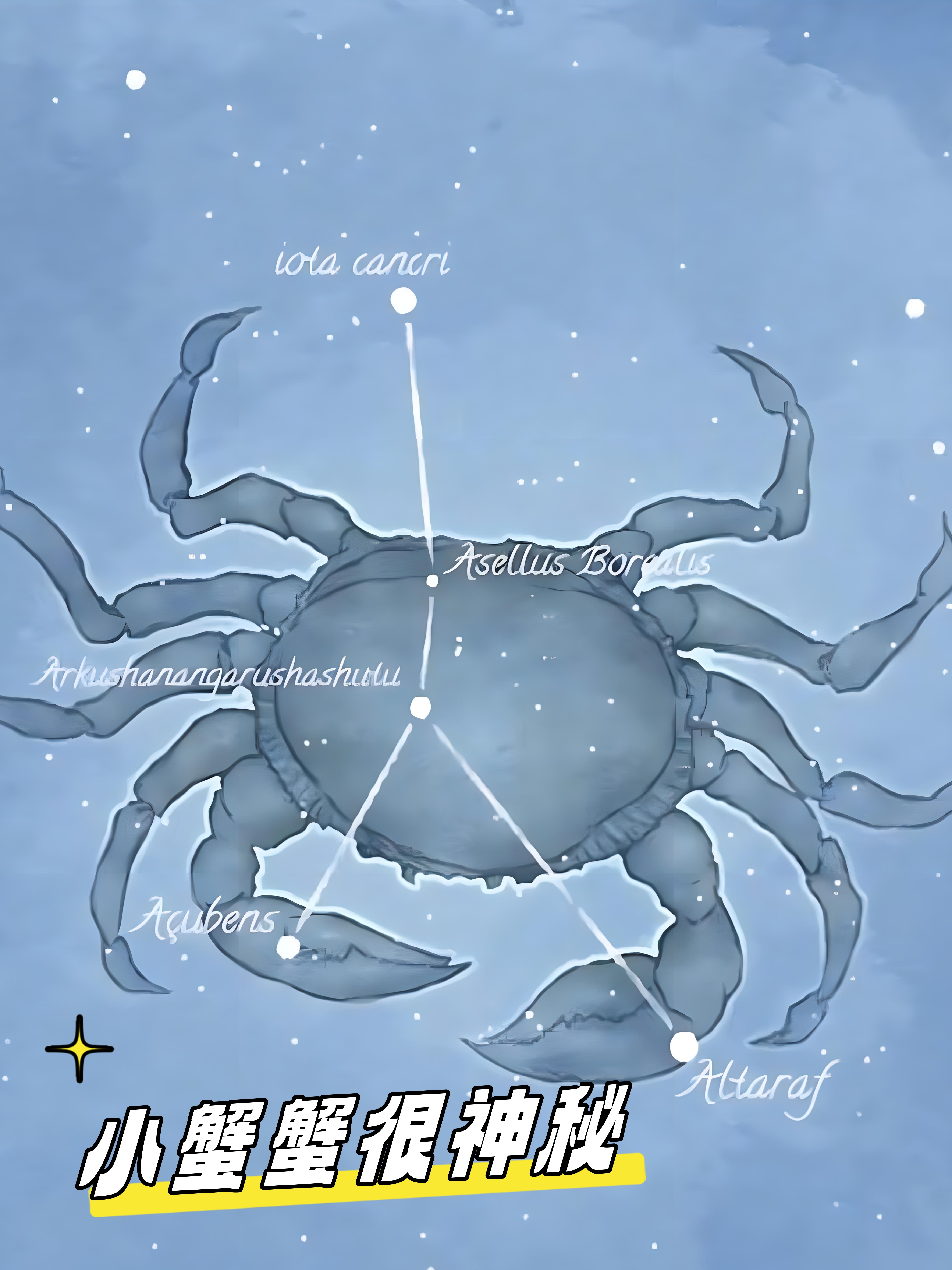 今天我们来聊聊巨蟹座,这个充满母爱光辉的星座!