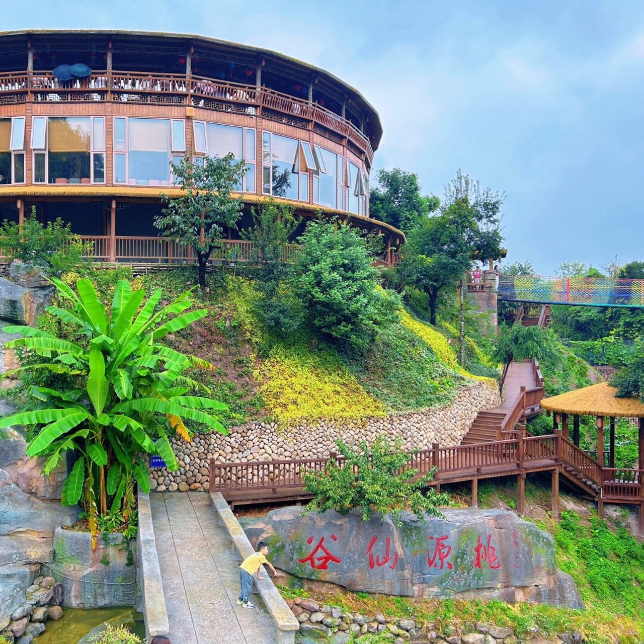 温州周边自驾游泰顺筱村公社绣球花海  94泰顺筱村公社绣球花海游玩